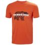 Kép 1/7 - GRAPHIC T-SHIRT-290-XL